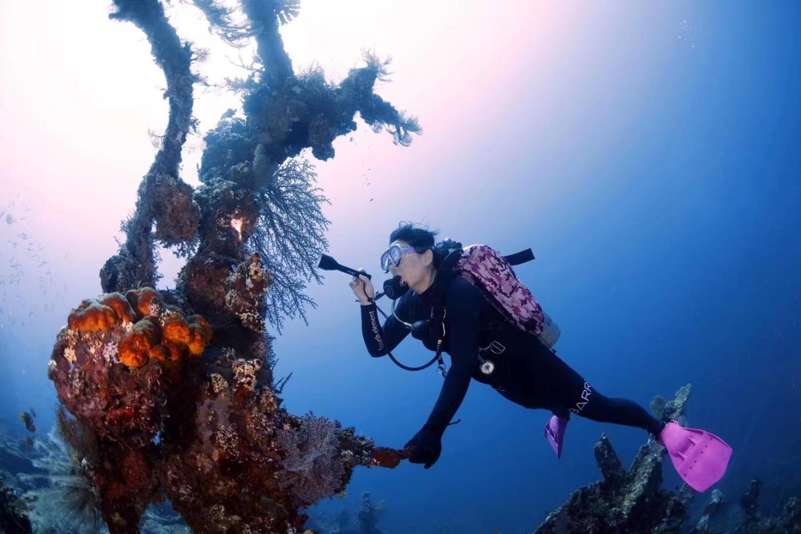 Villa Alba Bali Dive Resort Tulamben Dış mekan fotoğraf