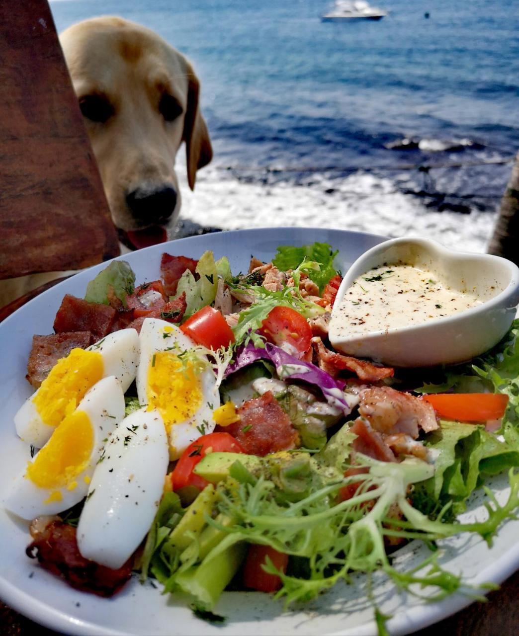 Villa Alba Bali Dive Resort Tulamben Dış mekan fotoğraf